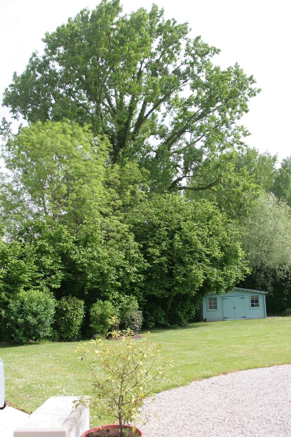 A large tree in front of a small blue shed. - 2 ensuite bedrooms, a spacious, well appointed Gîte overlooking the River Authie (Nampont)
