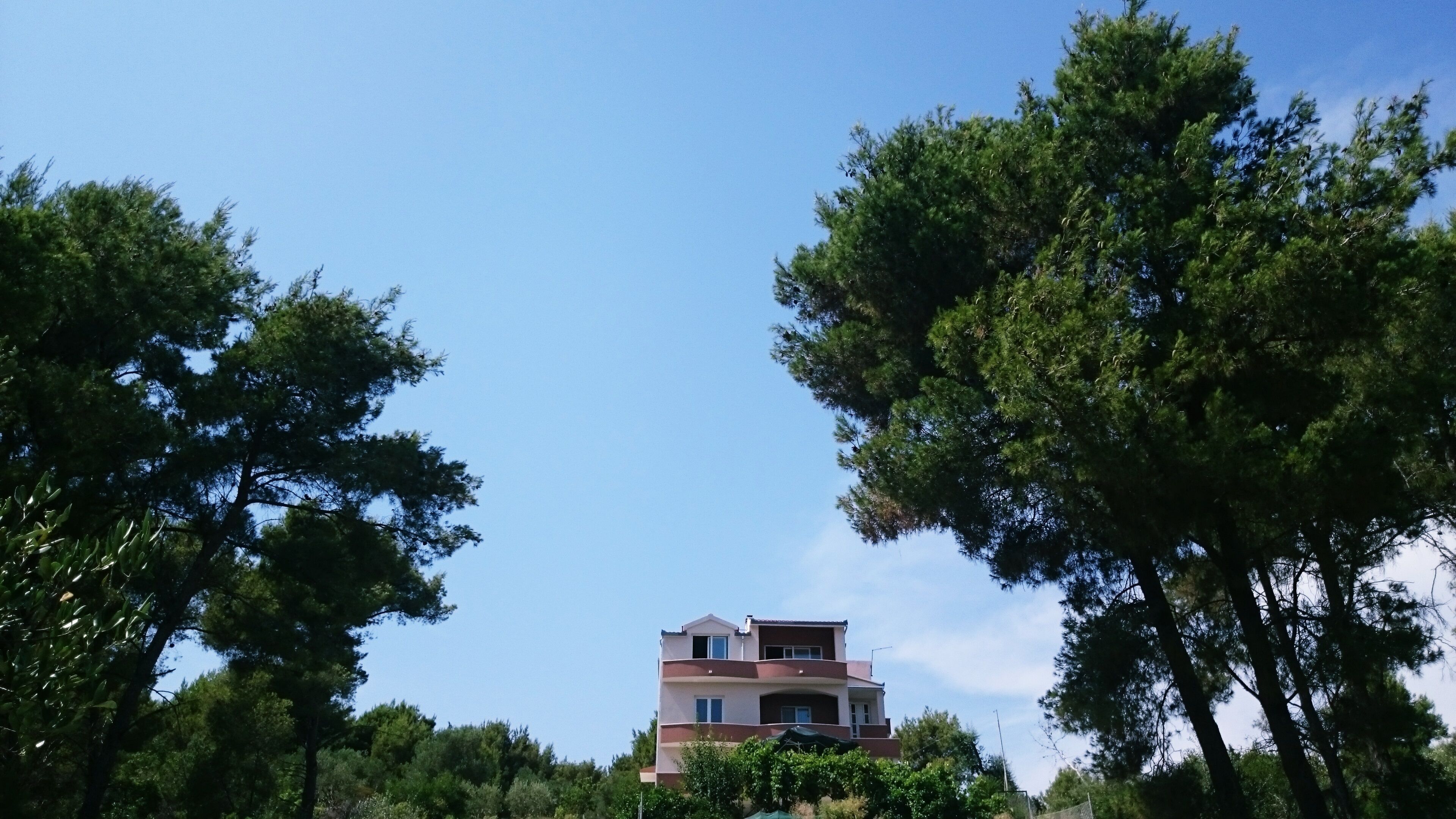 A multi-story building surrounded by trees.