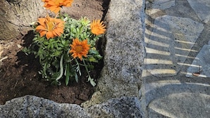 A stone pathway with flower beds containing sunflowers and orange flowers. - OLMETO, F2 air-conditioned, near sea (Olmeto)