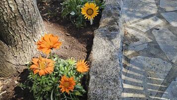 Un chemin de pierres bordé de parterres de fleurs, où l’on trouve des tournesols et des fleurs oranges.