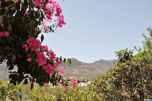 Property grounds - Nice warm house to relax with wifi (VALSEQUILLO DE GRAN CANARIA)