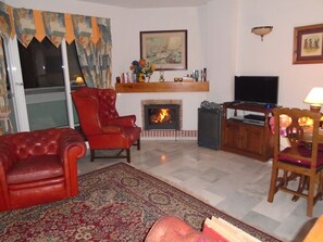 Een televisie, een open haard, een dvd-speler en boeken