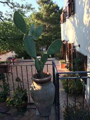 Jardines del alojamiento