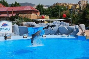 Pool - BESIDE BEACH  APARTMENT 3 BEDROOMS SOUTH SEA VIEWS IN  BENALMADENA COSTA. MALAGA (Benalmádena)