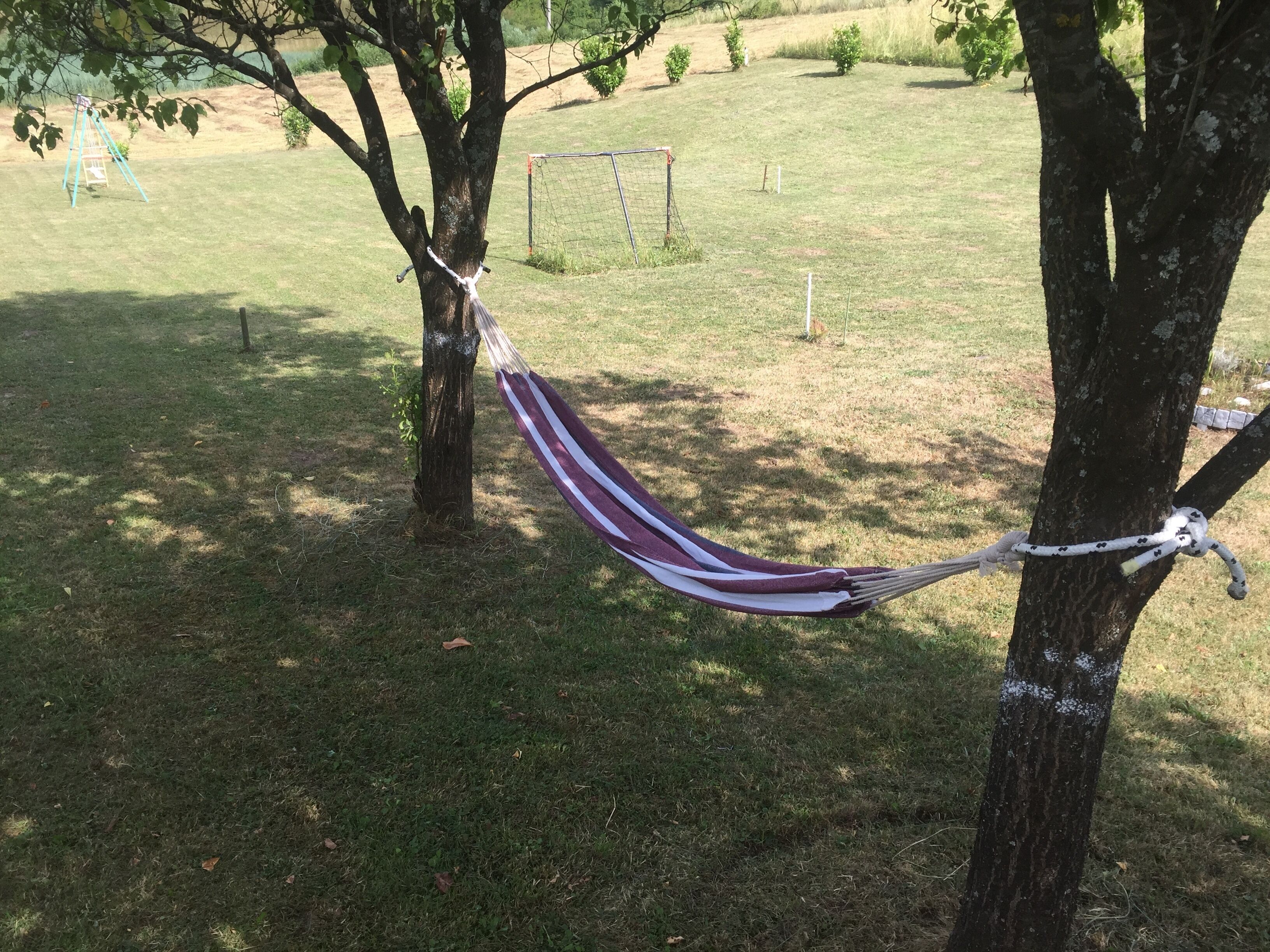 A hammock tied between two trees in a grassy area with a soccer goal in the background.