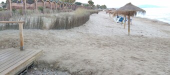 庭園の前にある最前線のマリーナドール