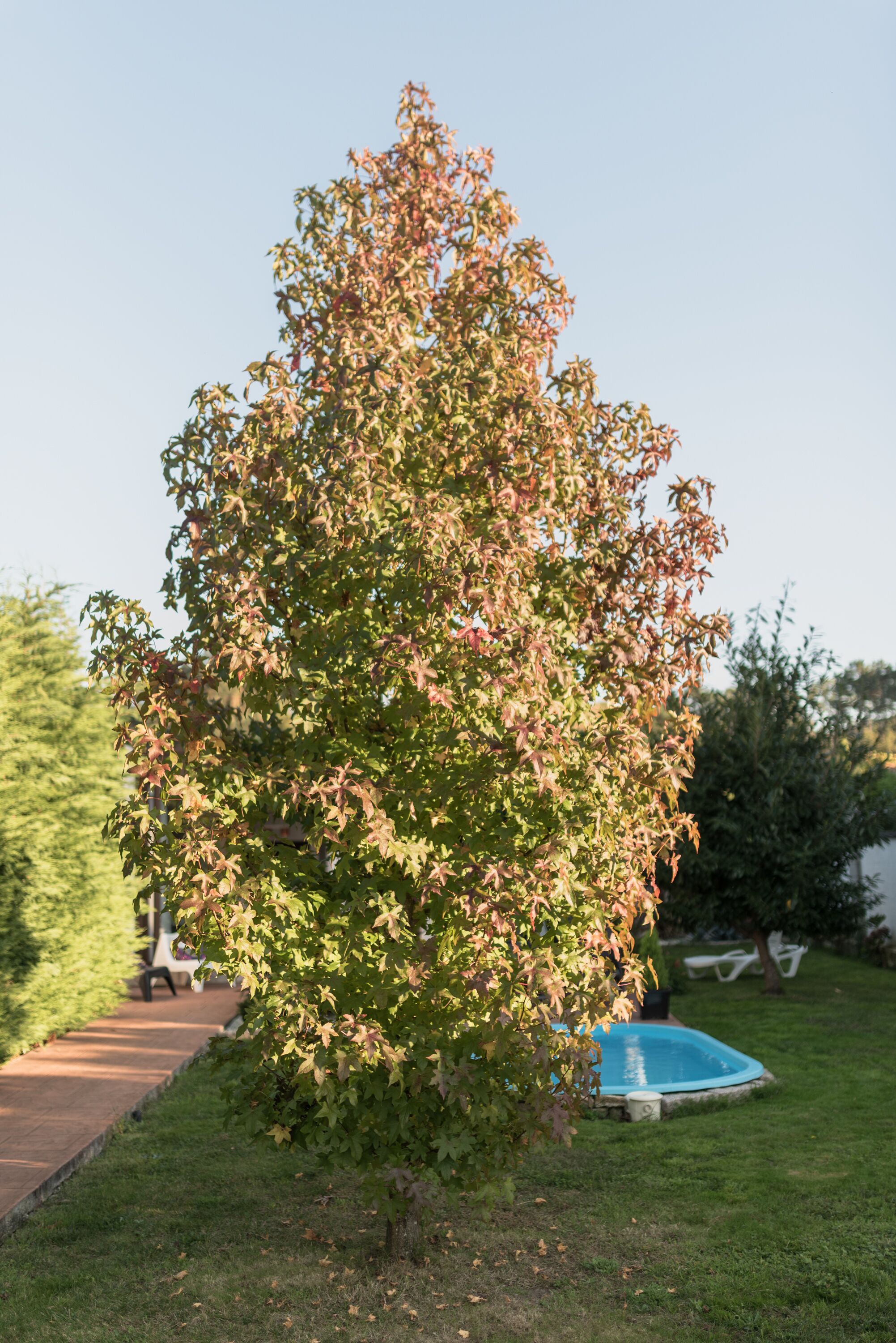 Áreas de la propiedad