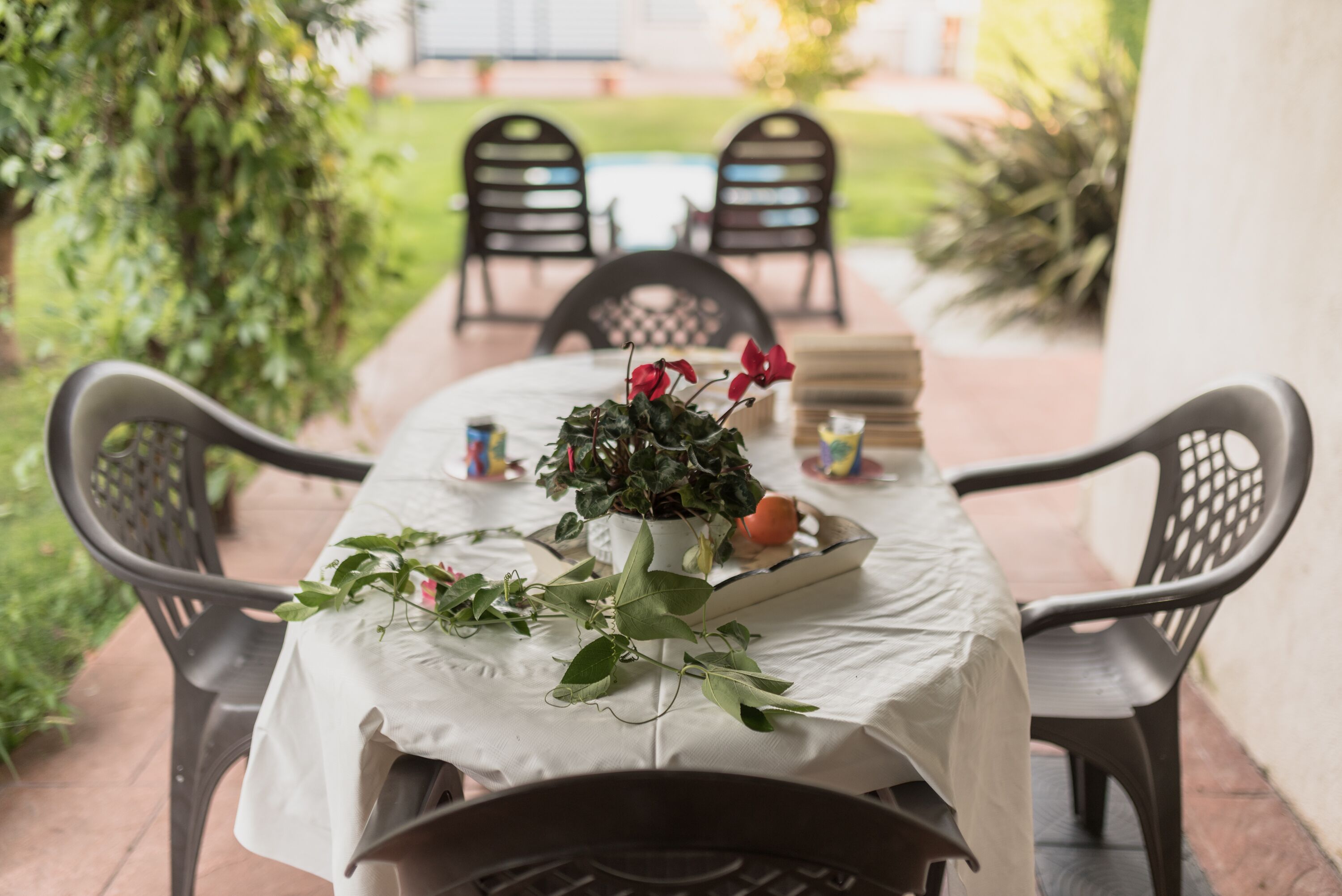 A table set outdoors with a white tablecloth, two chairs, a potted plant with red flowers, and a tray with oranges.
