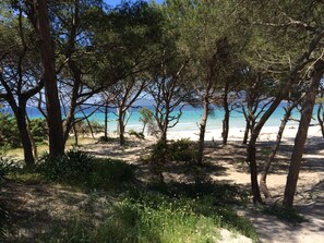 A beach with trees and a clear view of the sea. - Villa with pool surrounded by olive groves. With sea view.Casa in campagna. (Alghero)