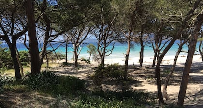 Villa mit Pool umgeben von Olivenhainen. Mit Meerblick. Casa in Campagna.