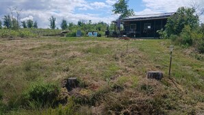 Paesaggio rurale con una casa di legno, campi aperti e alberi sparsi.