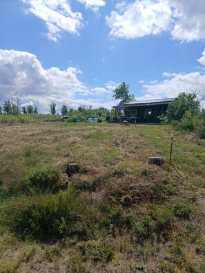 A rural setting with a wooden house, open fields, and scattered trees.