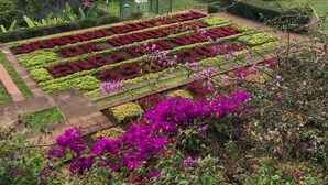 Ein Garten mit Blumenbeeten und Blick auf das Meer.