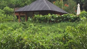 Une construction rustique en bois, dotée d’un toit en pente, entourée d’une végétation luxuriante et de plantes en fleurs.
