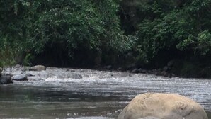Une rivière bordée de rochers et dont l’arrière-plan est constitué d’une végétation dense.