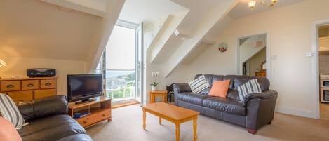 Télévision, lecteur de DVD, livres