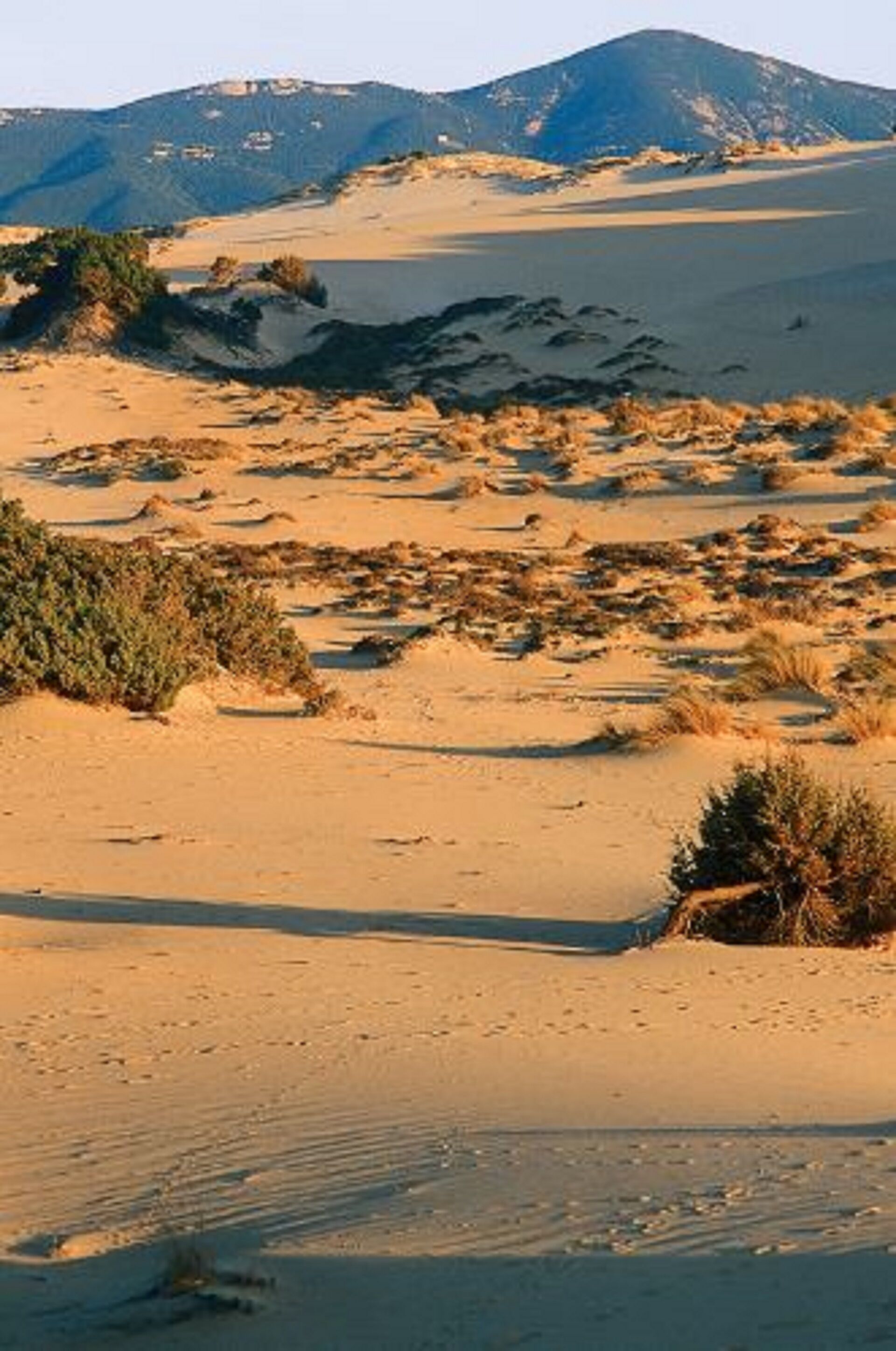 B&B DomuCorona "Vinaccio room"