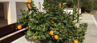 Luxiourous 2 Bed Penthouse apartment ⭐️TripAdvisor certificate of Excellence 