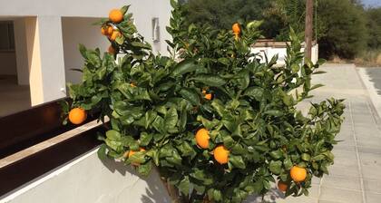 Ylellinen 2 sängyn kattohuoneisto ⭐️TripAdvisor -luokitus