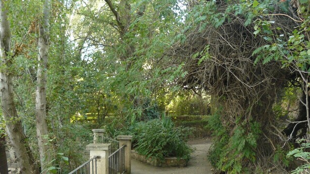 Un sendero atraviesa un jardín con un muro de piedra y una barandilla metálica a un lado.
