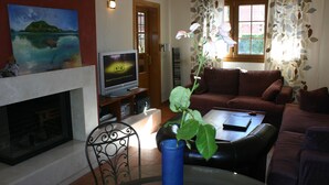 Ett vardagsrum med en öppen spis, en tv, en soffa och ett soffbord.