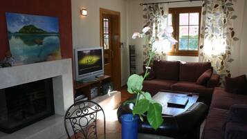 Smart TV, fireplace, DVD player, books