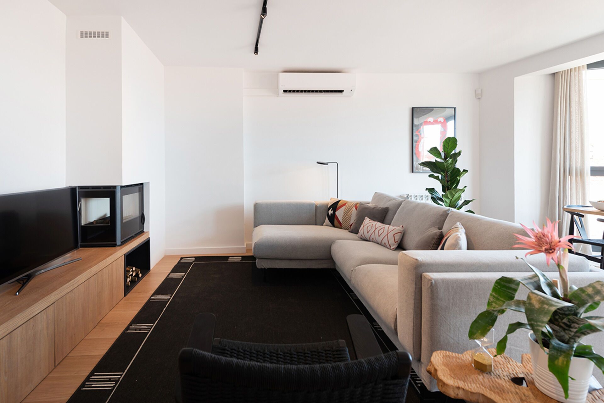 Un salon moderne avec un téléviseur à écran plat, un canapé gris, un fauteuil noir, un meuble en bois, un tapis noir et une grande plante en pot.