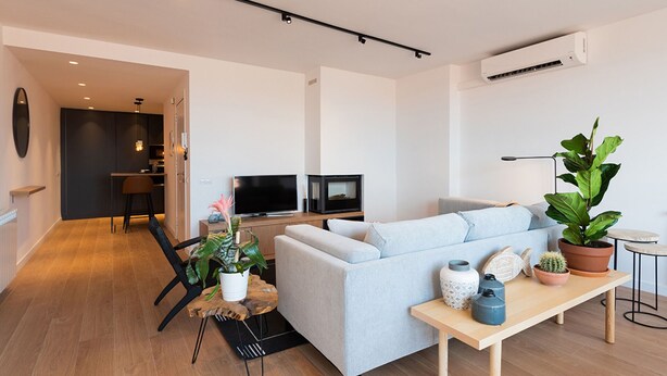 A modern living room with a light grey sofa, a wooden coffee table, and various plants. - Petit Luxe l'Àtic (Terrassa) (Terrassa)