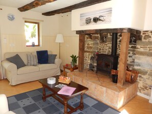 Een televisie, een open haard, een dvd-speler en boeken