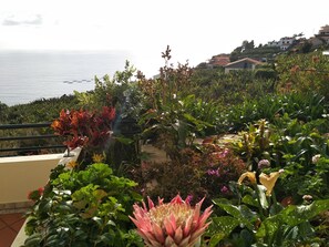 A balcony with a variety of potted plants and flowers, overlooking a coastal area with houses in the background. - Esmee Apartment, Big Terrace with Sea View! (Arco Da Calheta)