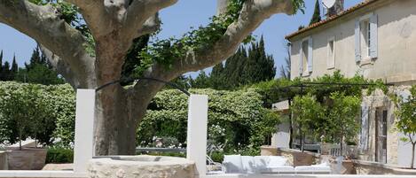 Área da propriedade