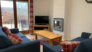 TV connectée, cheminée