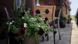 Une cabane en bois avec une véranda, une chaise et un pot de fleurs.