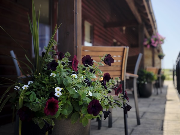 A wooden cabin with a porch, a chair, and a potted plant with flowers.