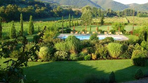Ein Pool, umgeben von üppiger Vegetation und Hügeln im Hintergrund.