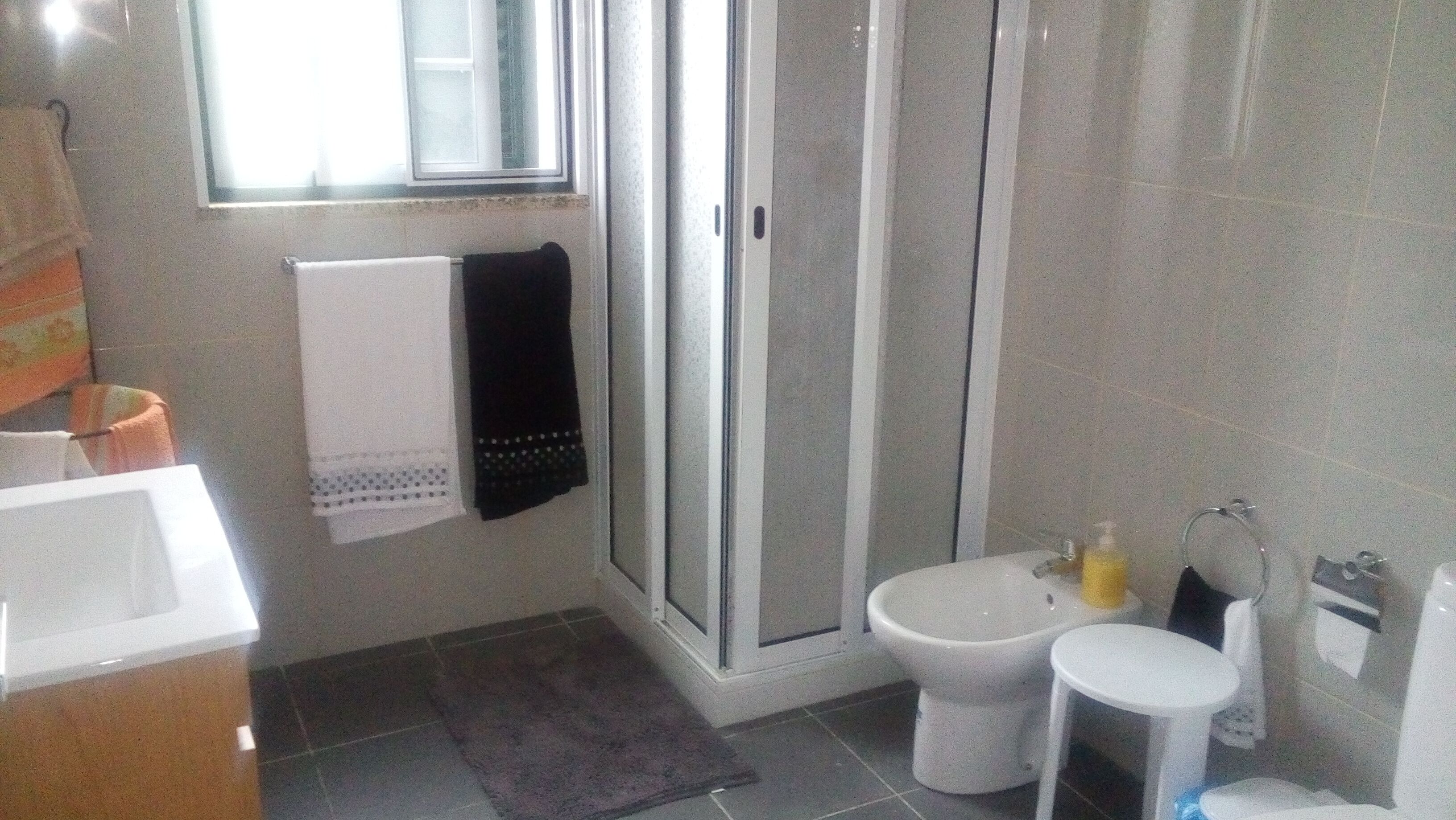Shower, bidet, towels