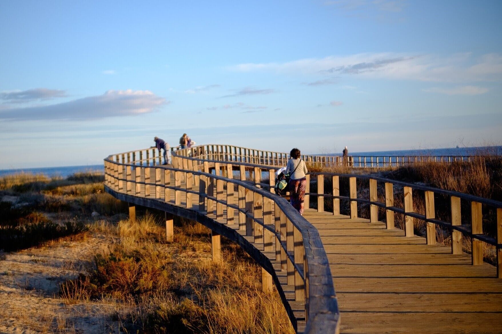 Une promenade en bois dotée d’une rambarde incurvée, entourée d’herbes sèches et de sable.