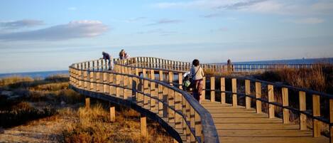 Une promenade en bois dotée d’une rambarde incurvée, entourée d’herbes sèches et de sable.