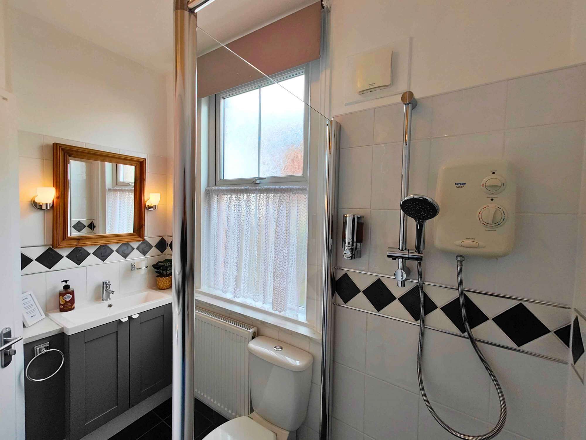 A bathroom with a shower, a toilet, a sink, and a mirror.