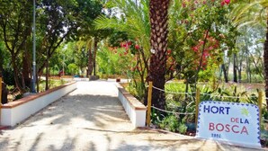 Un sentier mène à un panneau indiquant « Hort del Bosca, zoo ».