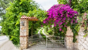 Une porte en pierre, ornée de barreaux métalliques, entourée d’une végétation luxuriante et de magnifiques fleurs de bougainvillier.