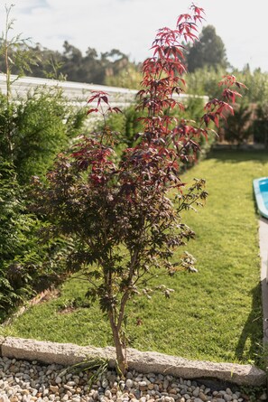 Àrea exterior de l'allotjament