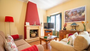 Een woonkamer met een open haard, bank, televisie en een schilderij aan de muur.