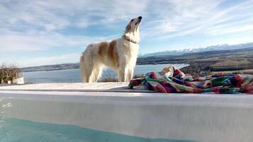 Uitzicht vanuit accommodatie