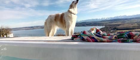 Vista desde la propiedad