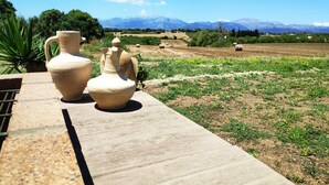 Two large ceramic vases on a wooden ledge overlooking a rural landscape with fields and mountains in the distance. - Beautiful villa in the middle of nature, 5 minutes away from the best beaches of Mallorca. (Muro)