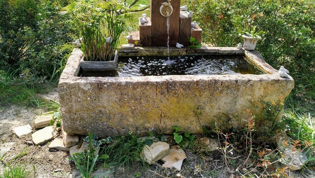 A rustic stone well with a wooden structure on top, surrounded by lush greenery and a rural landscape.