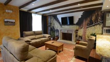 TV, fireplace, books, stereo