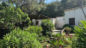 A garden with a pergola, a white building with a window, and various plants and flowers. - Golfe Ajaccio sud La Castagna: Charming waterfront home! (Coti-Chiavari)