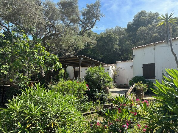 A garden with a pergola, a white building with a window, and various plants and flowers. - Golfe Ajaccio sud La Castagna: Charming waterfront home! (Coti-Chiavari)